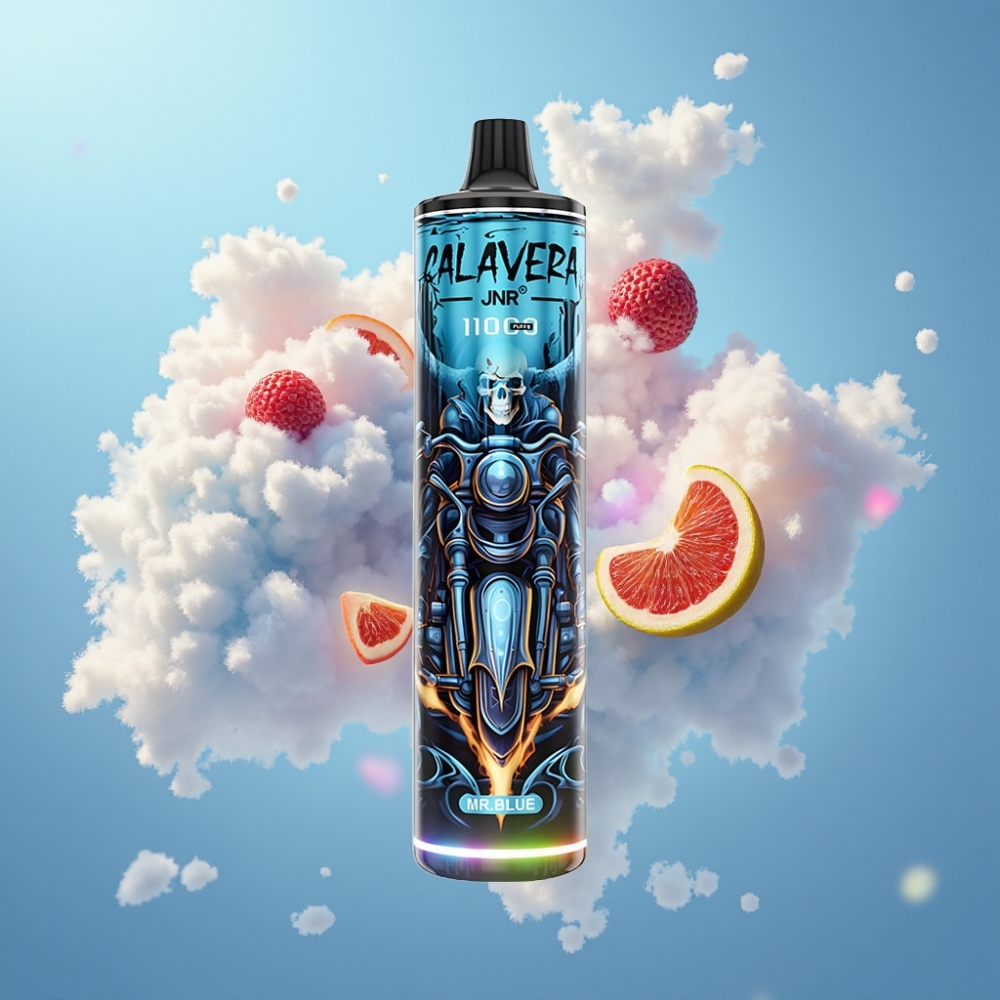 JNR Calavera 11000 Puffs Disposabel Vape Hr Sinine, Tüüp-C, 850 mAh, 21ml