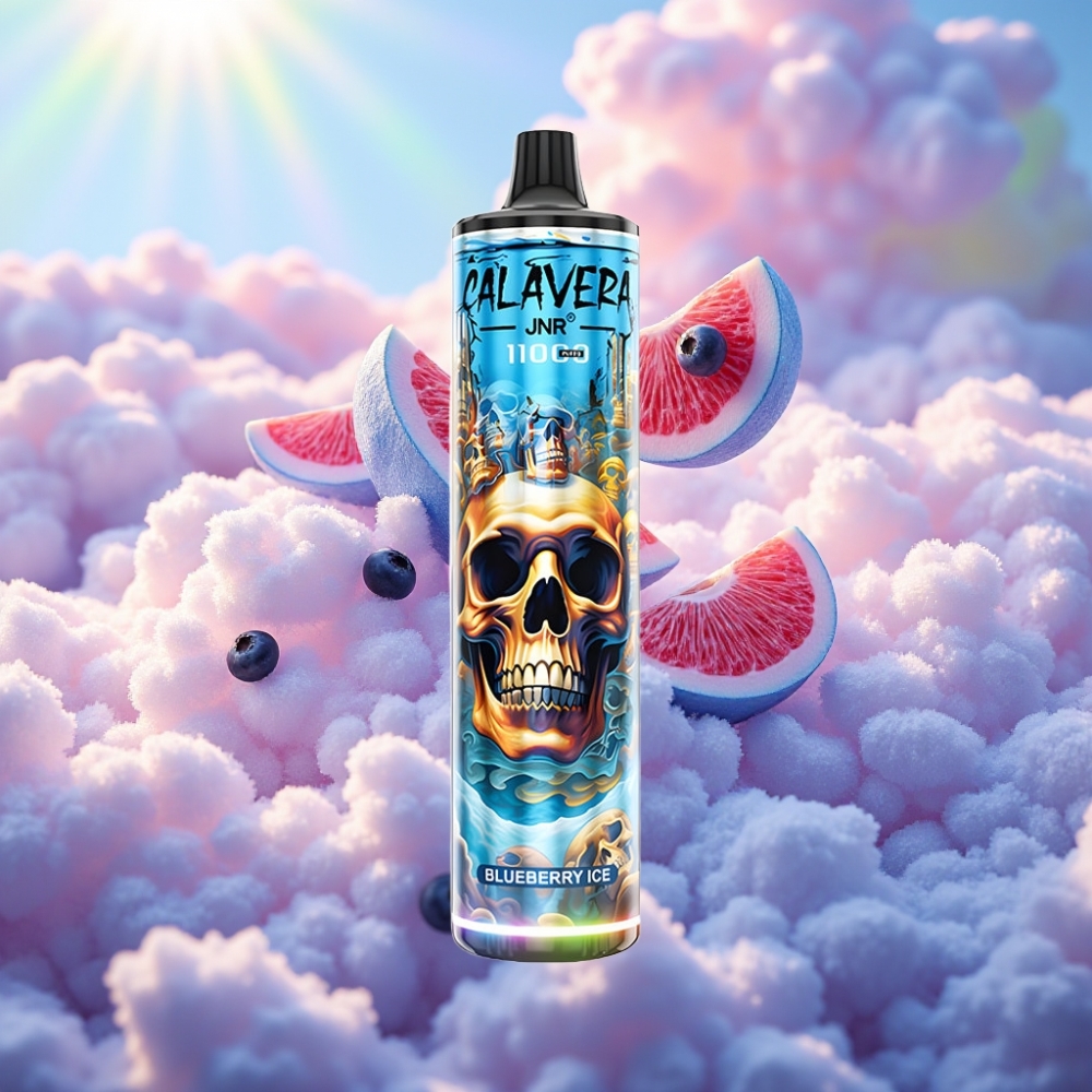 JNR Calavera 11000 Puhu Ühekordne Vape Mustika-Jää Tüüp-C 850mAh 21ml