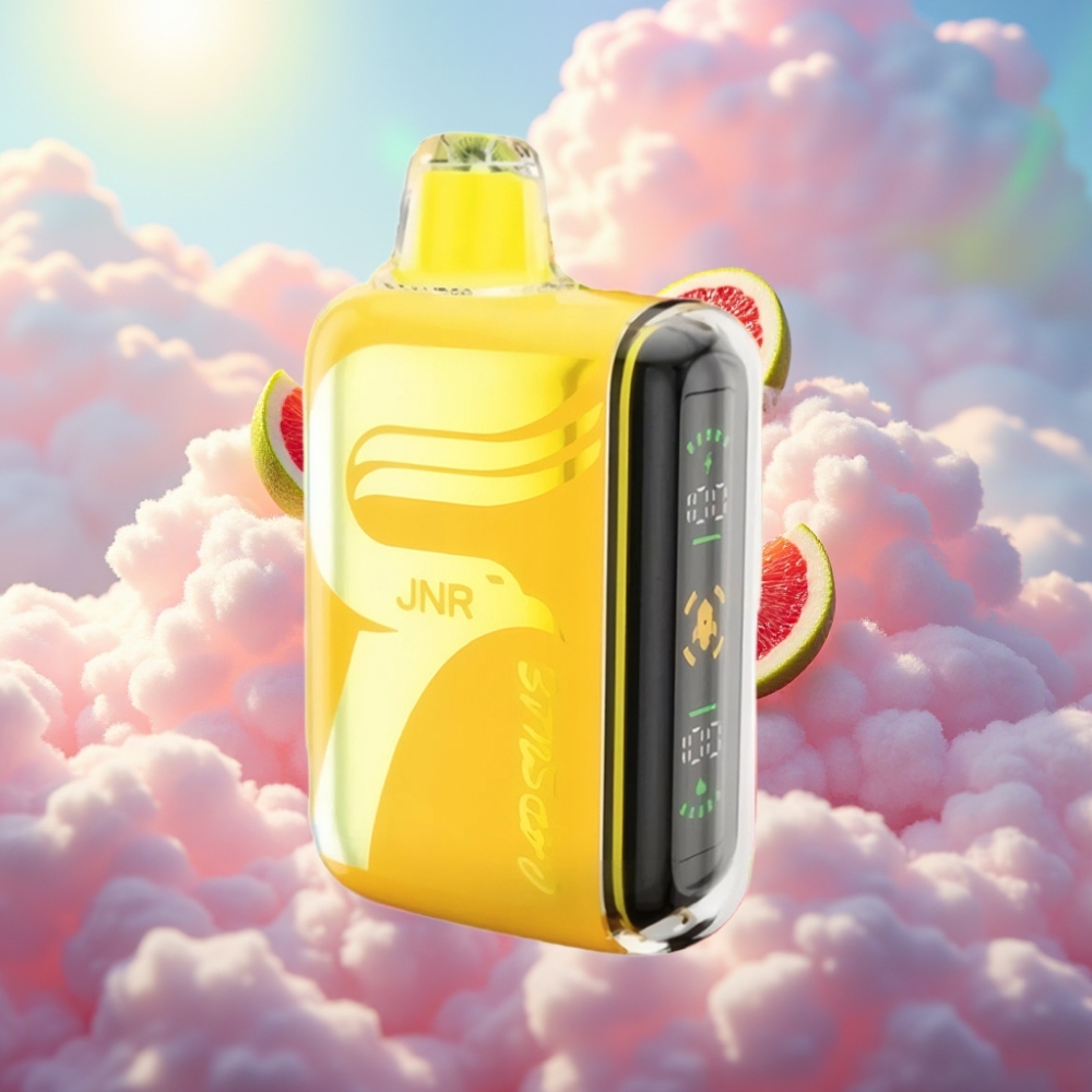 JNR Capsule 15000 Puffs 850mAh 20ml Dual Mesh Coil Täielik Ekraan-Taopical Punch