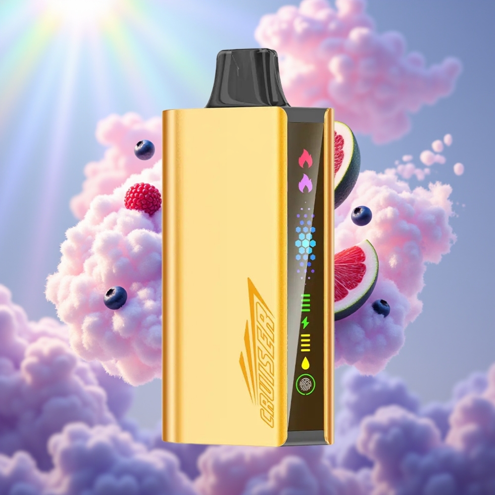 JNR Cruiser 12000 Puff Laadimiseta Disposabel Vape Sinimarja Puhang