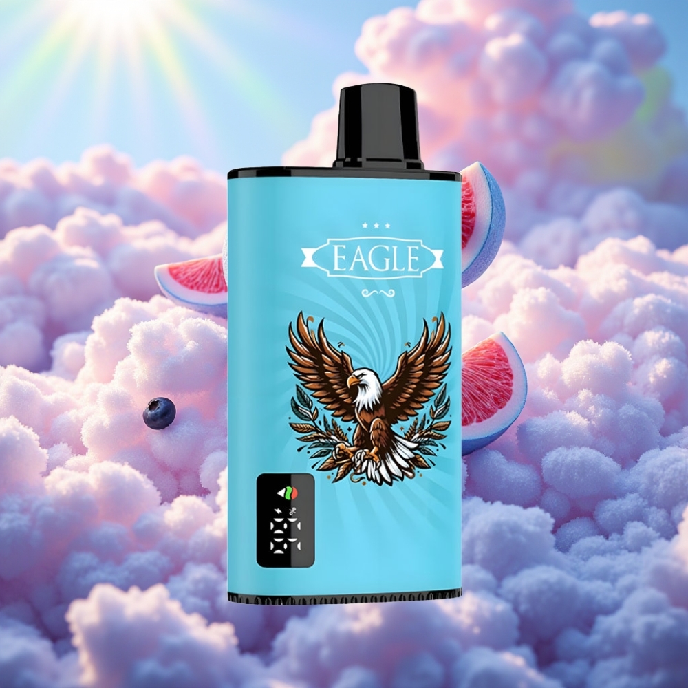 JNR EAGLE Smart 23000 Piibu Ühekordselt Kasutatav Vape Mustikajää
