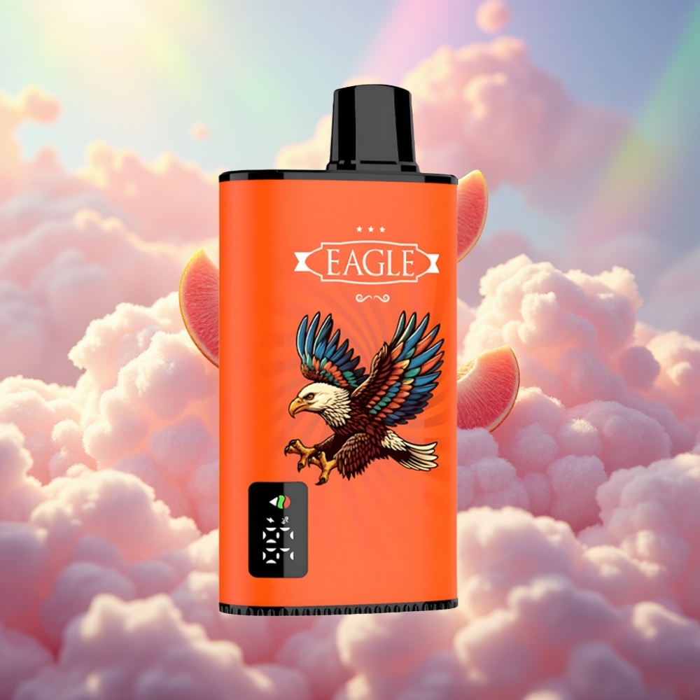JNR EAGLE Smart 23000 Puffs Ühekordne Vape Digitaalse Ekraani, 1.0ohm Mesh Mähis ja Reguleeritava Õhuvooluga – Mahlaste Virsikute Maitse