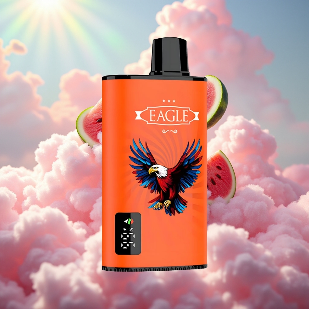 JNR EAGLE Smart 23000 Sööma Digitaalekraaniga 1.0ohm Mesh Pool Adjustable Airflow Vesipurgi Maitseline