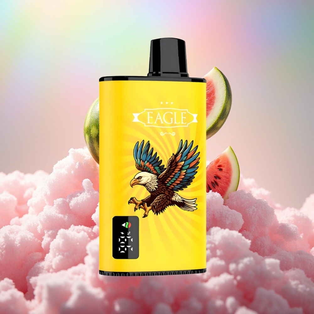 JNR EAGLE Smart 23000 Sõnniku E-vedelikuga Ühekordselt Kasutatav Vape Kivi-Arbuusi Jää