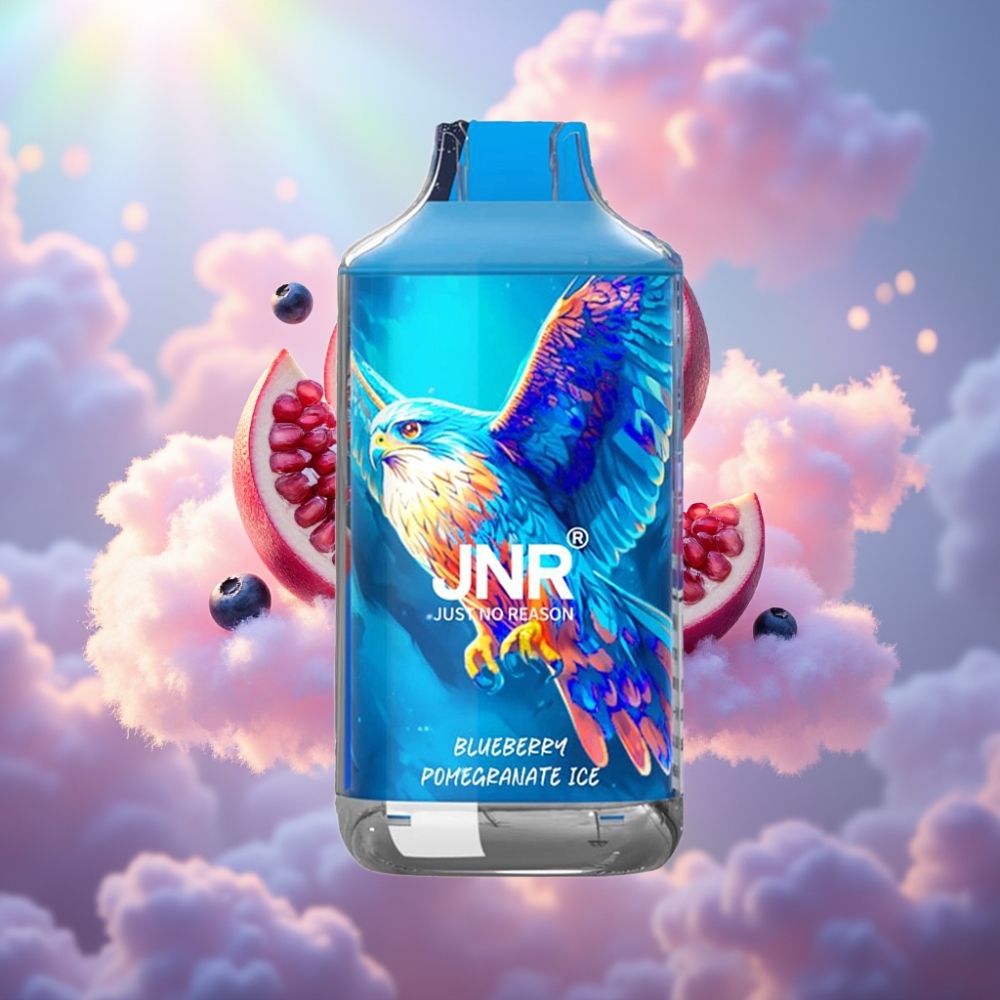 JNR Falcon 16000 Puffs Disposabel Vape Mustika-Jäämustikas