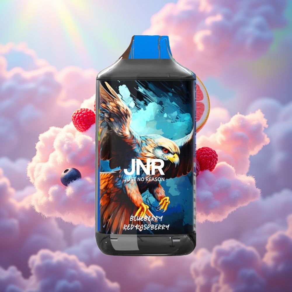 JNR Falcon 16000 Puffs Disposabelne Vape Mustikas Punane Vaarikas