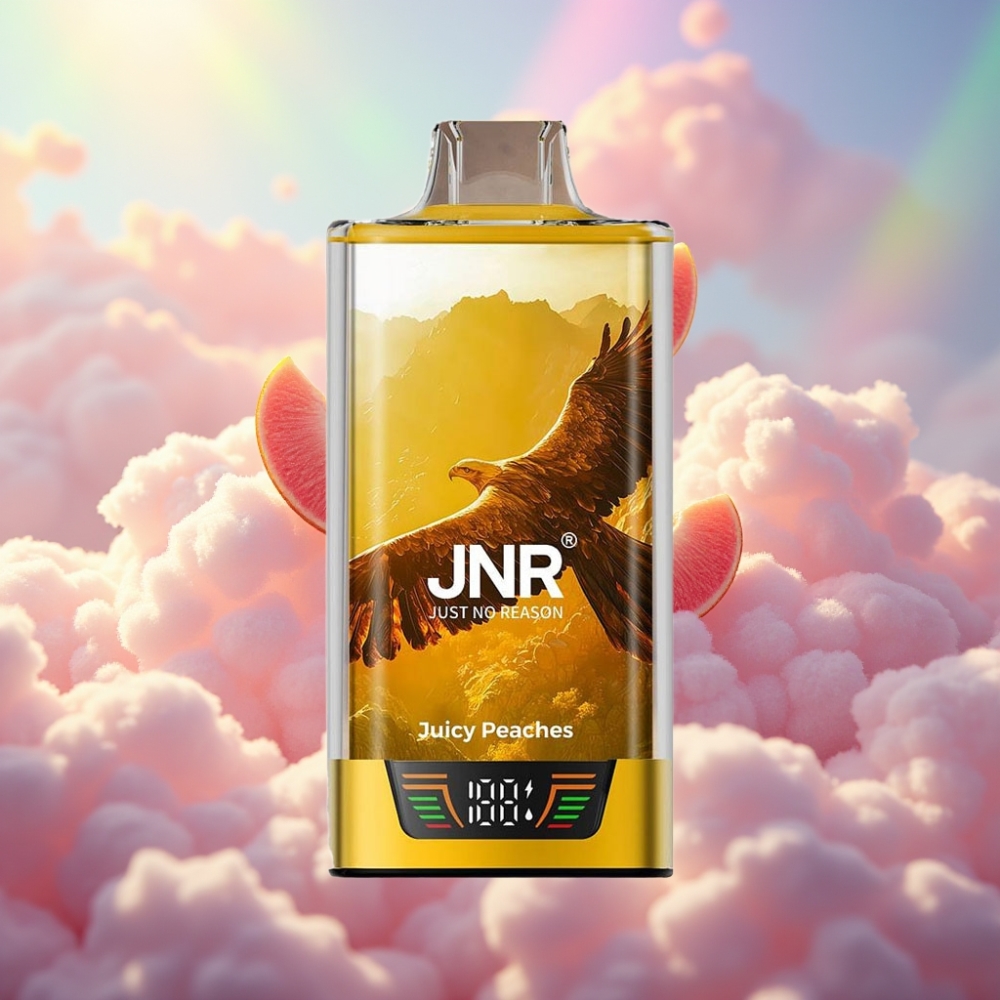 JNR Falcon Pro 28000 Ühekordne Vape (Mahlased Virsikud)