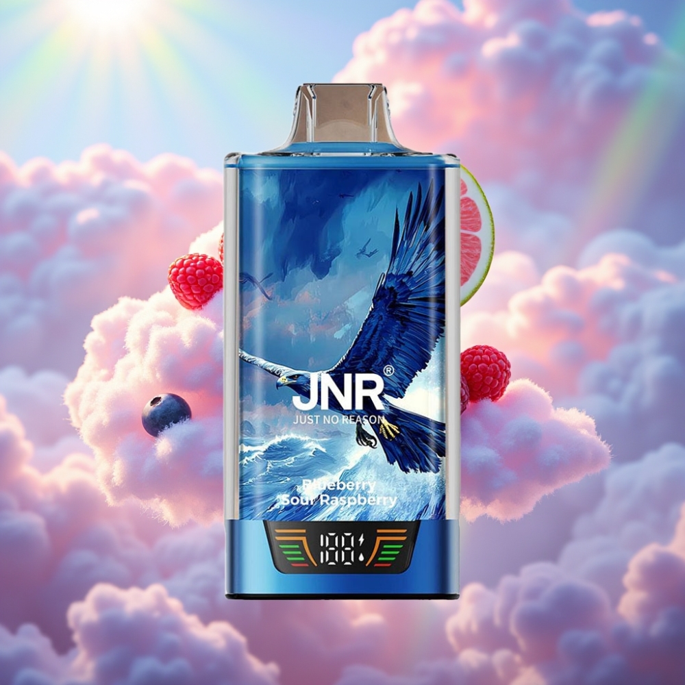 JNR Falcon Pro 28000 Ühekordne Vape Sinised Mured Vaarikad 30ml eeltäidetud 950mAh aku 28000 suitsu 5% nikotiini Tark ekraan Topeltvõrkkruun USB-C laadimine MTL suitsetamine