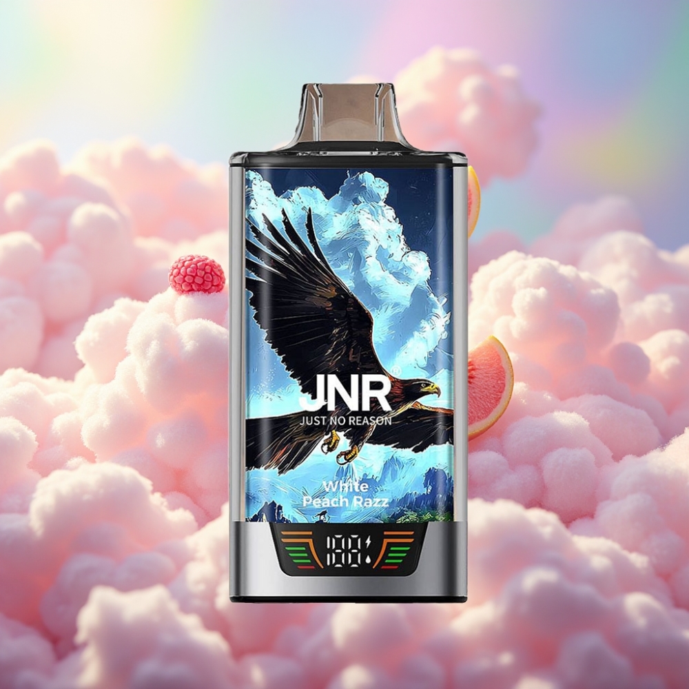 JNR Falcon Pro 28000 Ühekordne Vape Valge Virsik-Razz 30ml eeltäidetud 950mAh aku 28000 tõmmet 5% nikotiini Tark ekraan Topeltvõrkkrunt USB-C laadimine MTL suitstamine