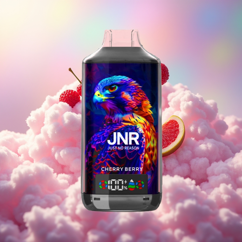 JNR Falcon X 18000 Puffs Disponeeritav Vape Kirsi-Marja