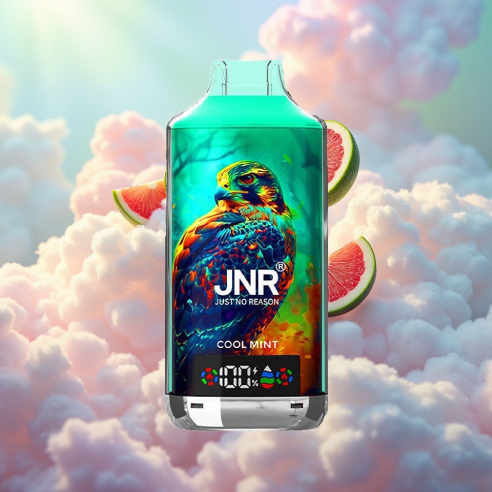 JNR Falcon X 18000 Puffs Disposabel Vape Jahusine Münt