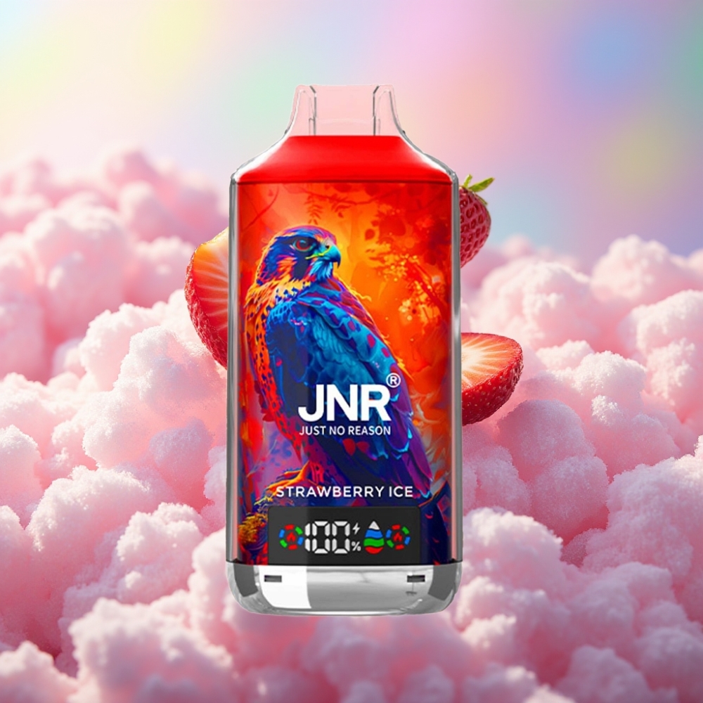 JNR Falcon X 18000 Puffs Disposabel Vape Maasika jää