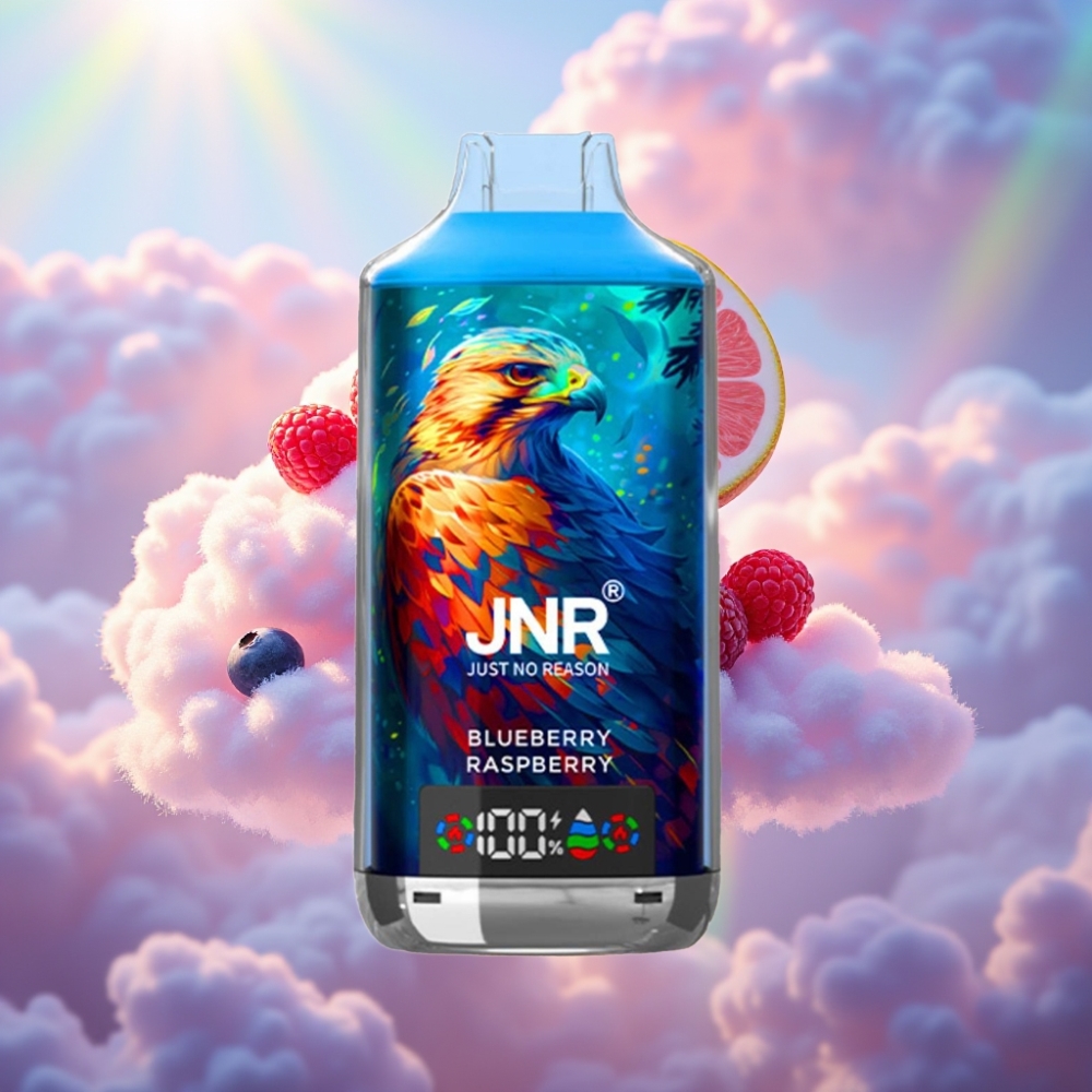 JNR Falcon X 18000 Puffs Disposabel Vape Mustikas Vaarikas