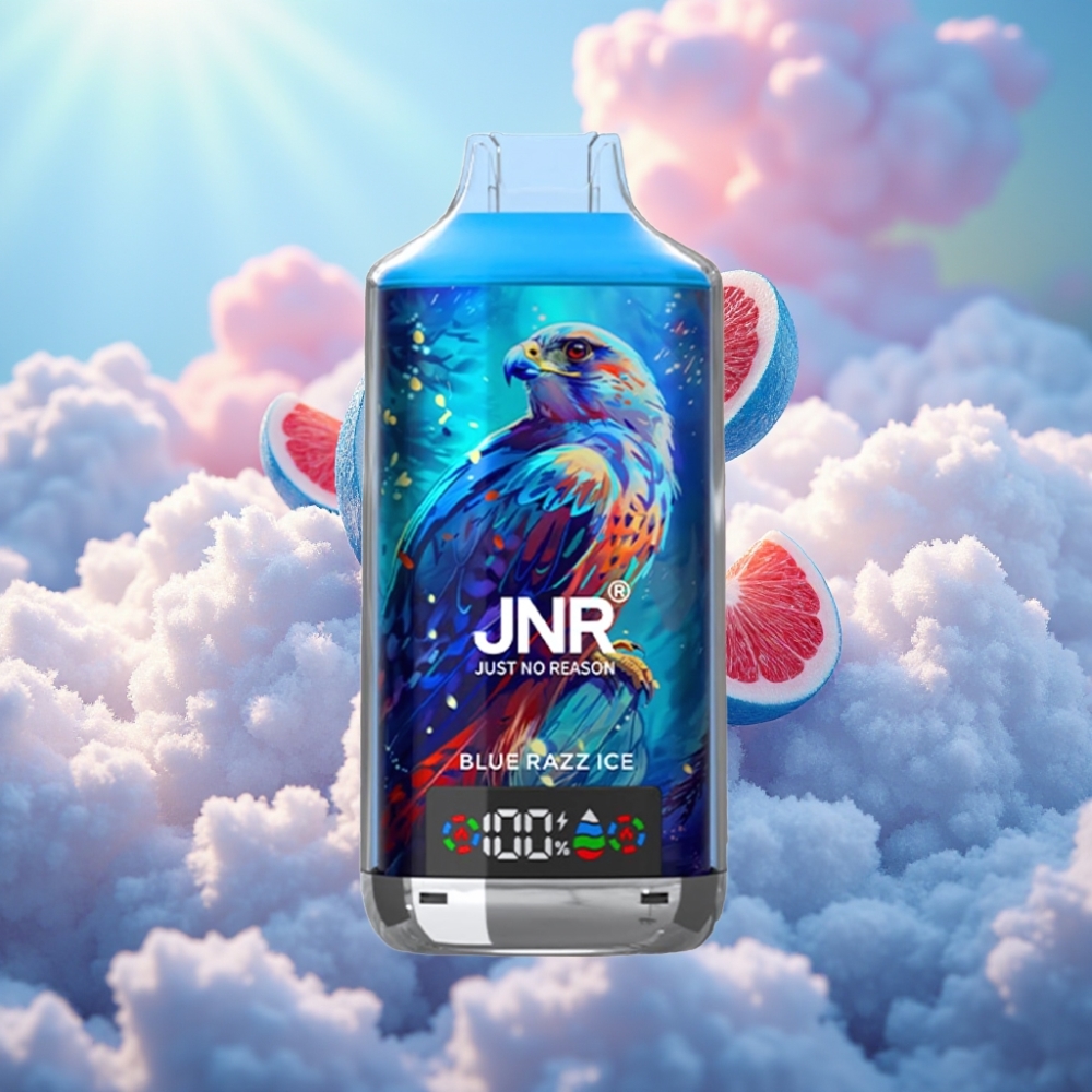 JNR Falcon X 18000 Puffs Ühekordselt Kasutatav Vape Sinine Sõstar-Jää