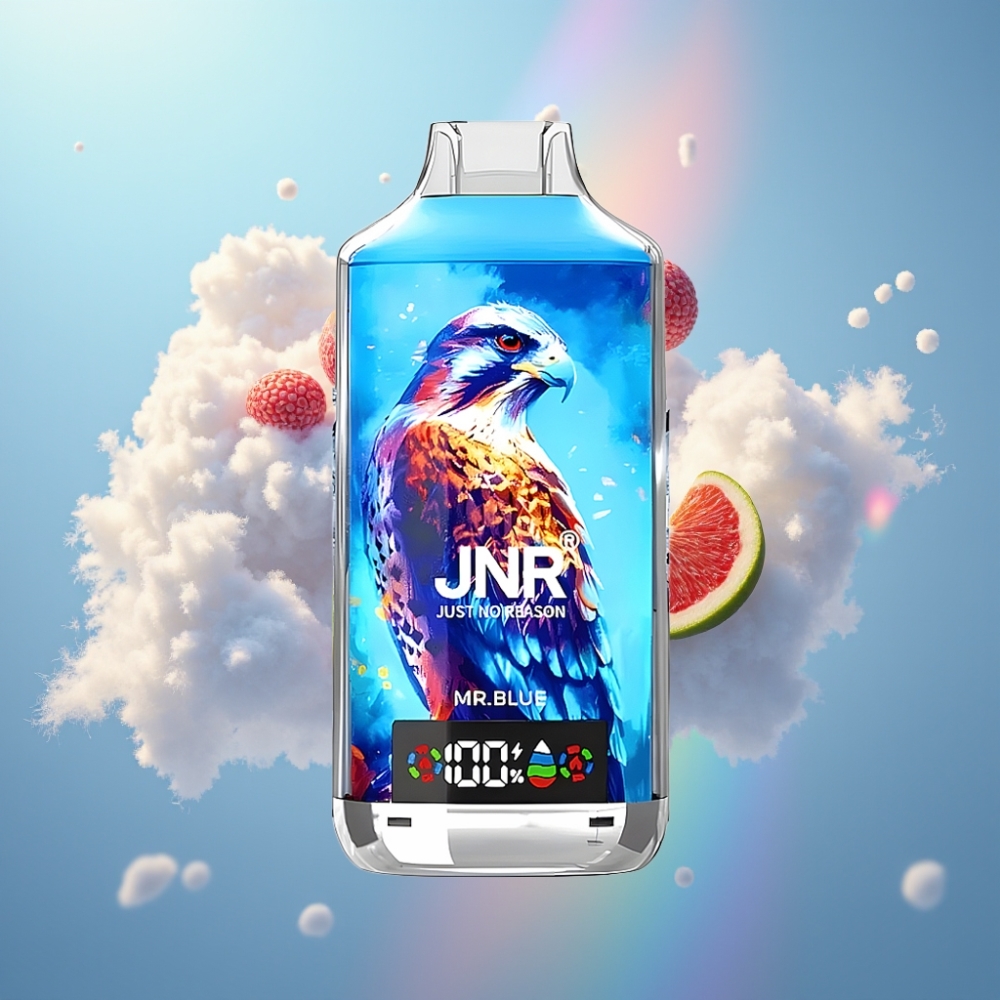 JNR Falcon X 18000 Sõmud 750mAh aku 24ml vedelik Dual Mesh & Dual Core mähis Tüüp-C kiirlaadimine Hr. Sinine