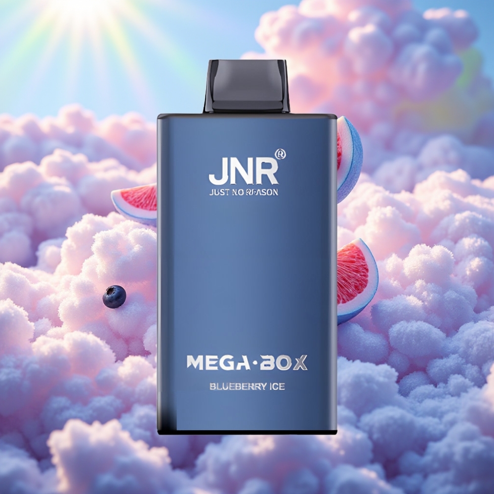 JNR Mega Box 25000 Söömu Disposabel Vape Mustika-Jää