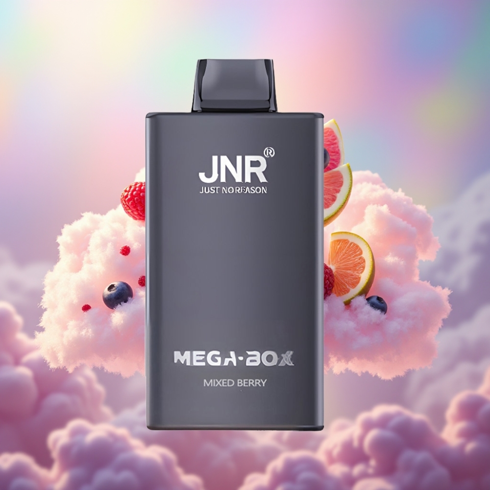 JNR Mega Box 25000 Sõõmukord Ühekordselt Kasutatav Vape Segamari