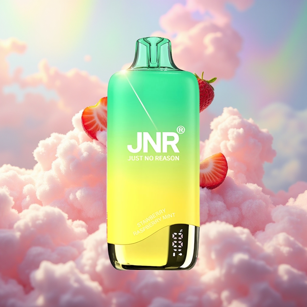 JNR Rainbow 10500 Puffs Ühekordselt Kasutatav Vape Maasika-Mürdimünt