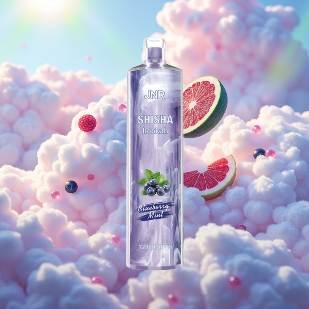 JNR Shisha Hookah 12000 Puffs Mustikas-Mündi Aromaatiga Ühekordselt Kasutatav Vape 750mAh 24ml 0.6 Ohm