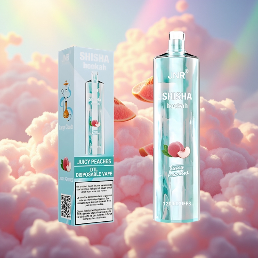 JNR Shisha Hookah 12000 Puffs Ühekordselt Kasutatav Vape Mahlased Virsikud (750mAh, 24ml, 0.6 Ohm)