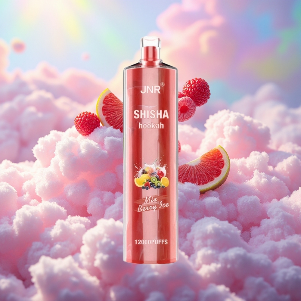 JNR Shisha Hookah 12000 Puffs Ühekordselt Kasutatav Vape Marja Jää (750mAh, 24ml, 0.6 Ohm)