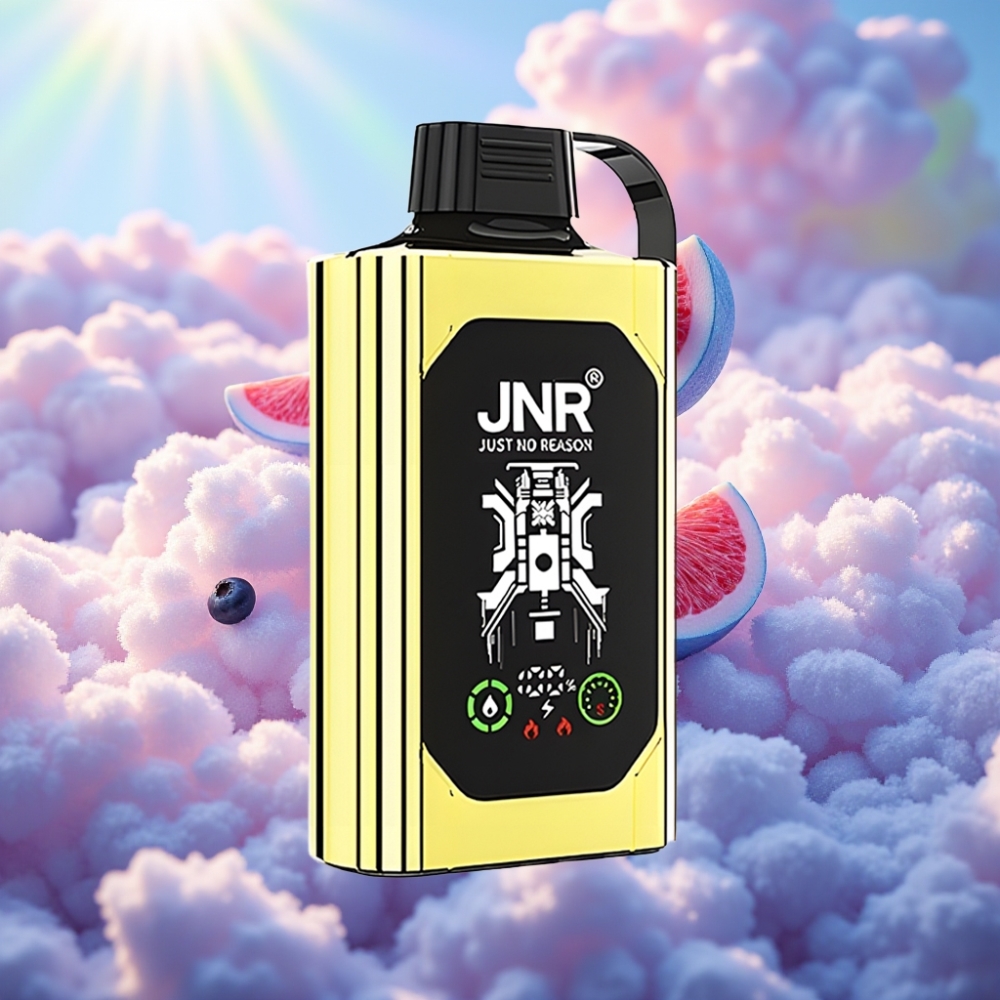JNR Shisha Hookah Box 20500 Tõmmet HD Ekraan 1000mAh Akumahutavus 25ml Vedeliku Mahutavus Type-C Kiirlaadimine Mustikajää Maitse