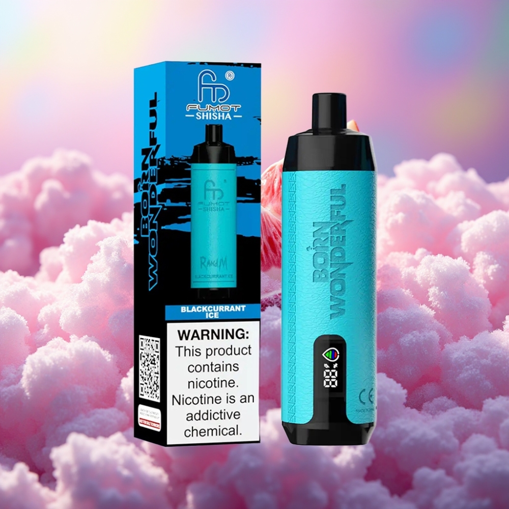 RandM Fumot Shisha 10000 Puffs Disposabel Vape Mustikas-Jää