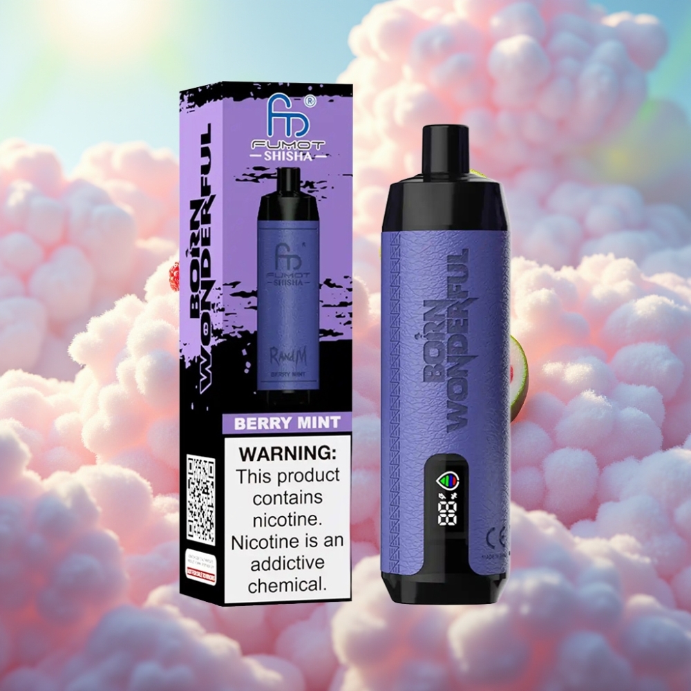 RandM Fumot Shisha 10000 Tambi Ühekordne Vape LED-indikaator 18ml e-vedelik 850 mAh aku MarjaMentool