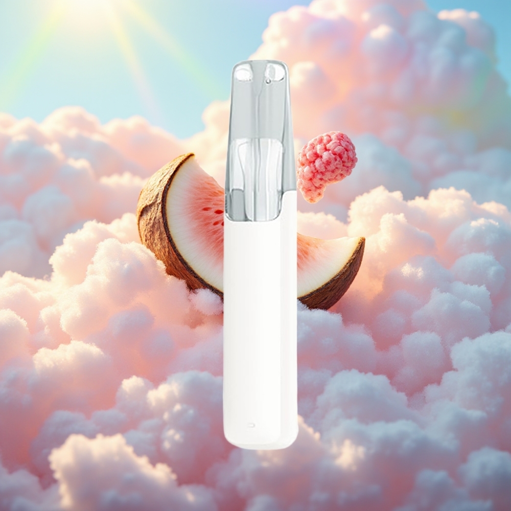 Snowplus Dash 4000 Puffs Disposabelseade (Kookosivesi)